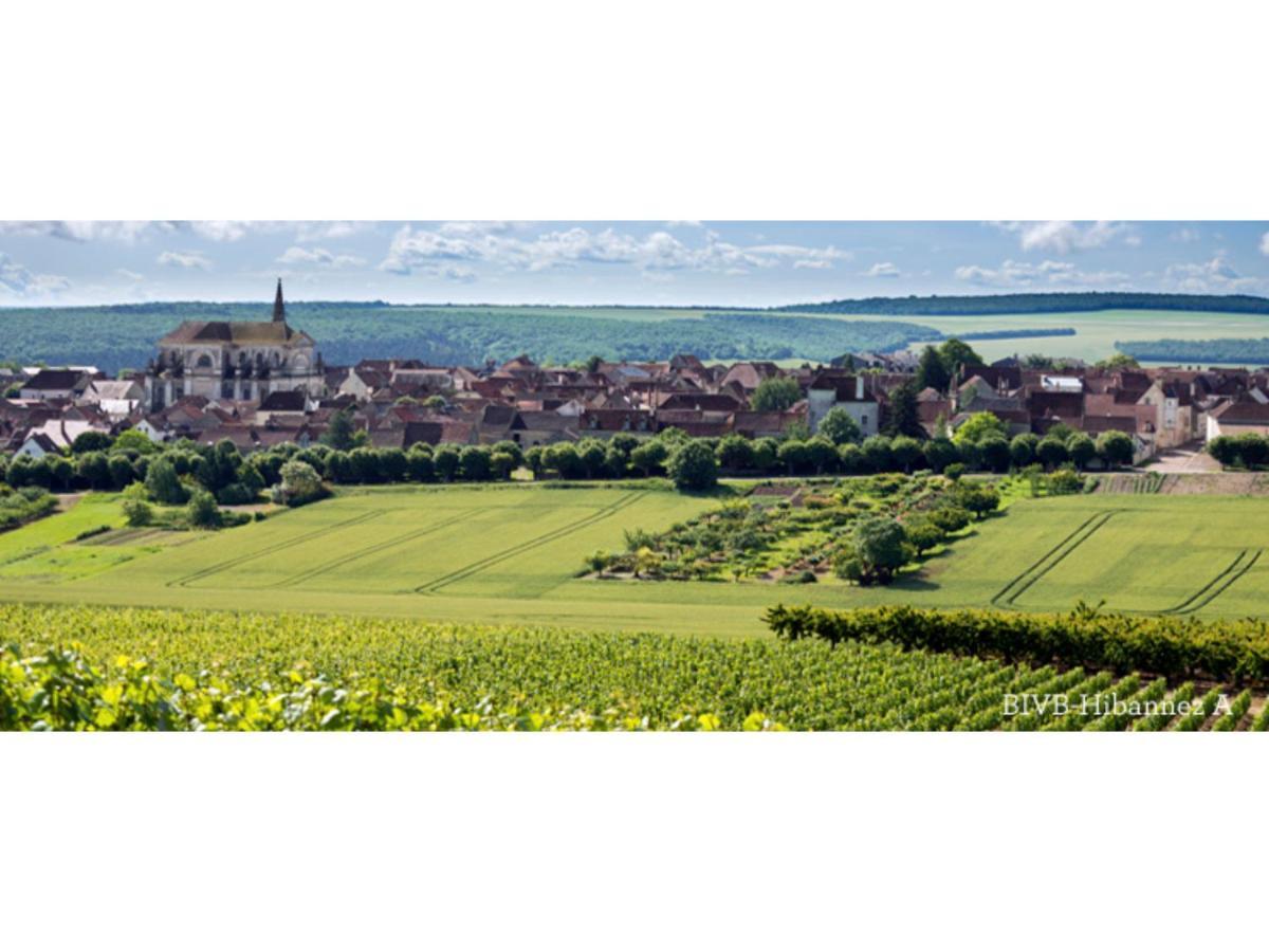 Coulanges-la-Vineuse La Croix Au Maitre酒店 外观 照片
